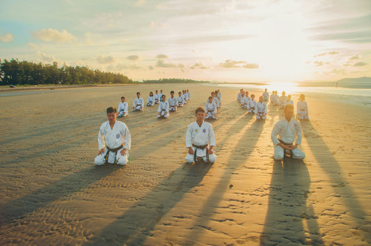Meditation Through Martial Arts