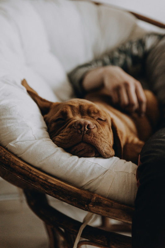 The Importance of Rest Days