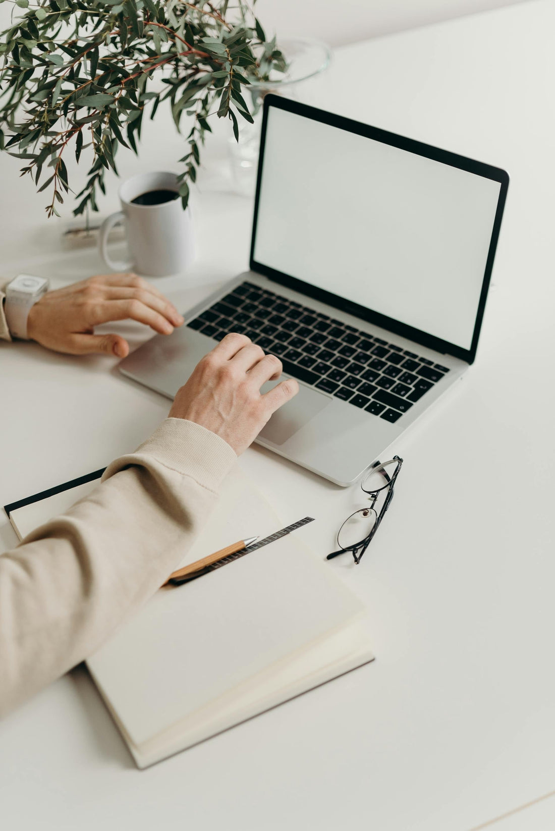Martial Arts & Productivity: Training Your Focus